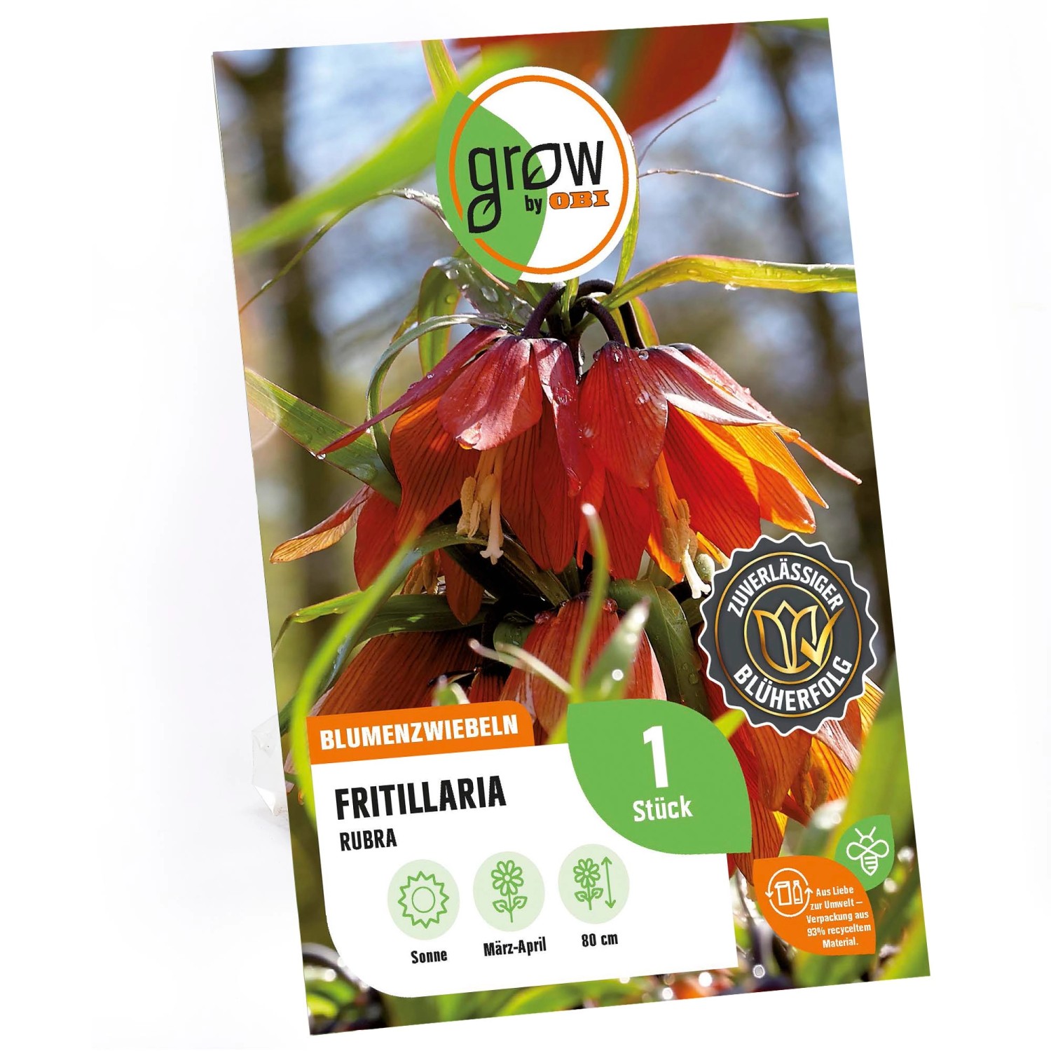 GROW by OBI Kaiserkrone imperalis Rubra Rot 1 Stück günstig online kaufen