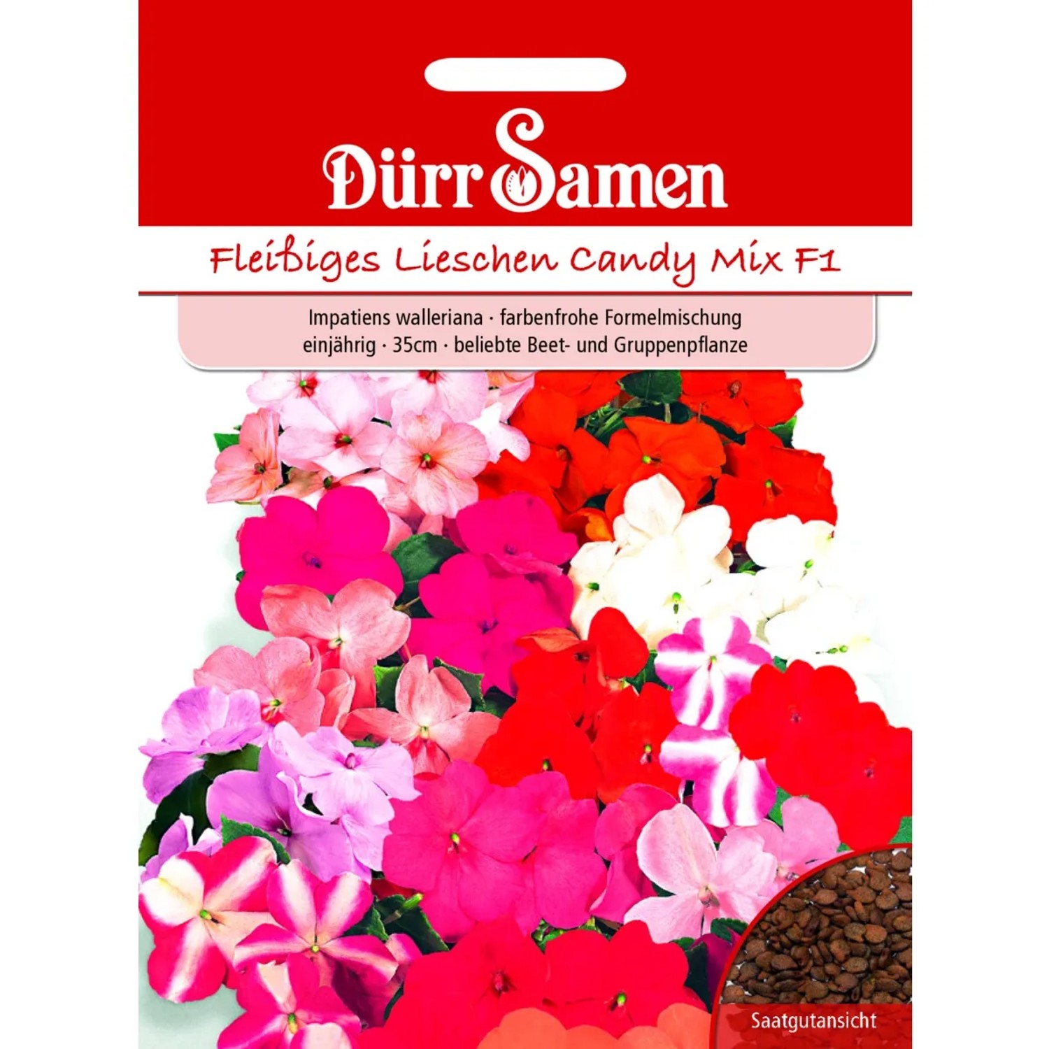 Dürr Samen Fleißige Lieschen Mischung F1 Einjährig Saatgut