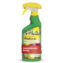 Grüne Neudorff BioKraft Natron 500 ml Sprühflasche, anwendungsfertiges Pflanzenstärkungsmittel gegen Pilzkrankheiten.