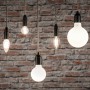 Verschiedene Paulmann E14 LED Leuchtmittel in Tropfenform vor Backsteinwand.