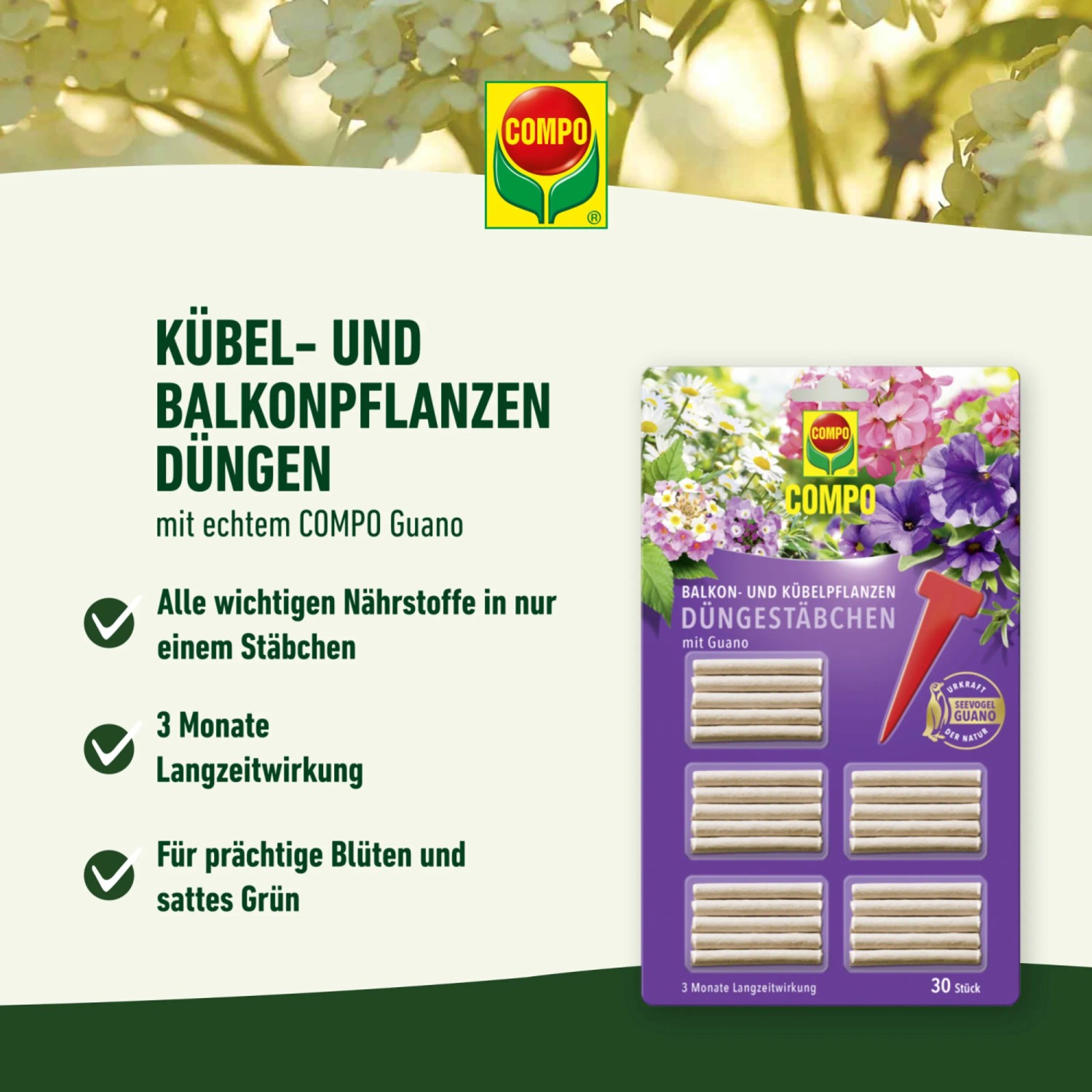 Compo Düngestäbchen für Balkon- und Kübelpflanzen mit Guano, 30 Stück Packung.