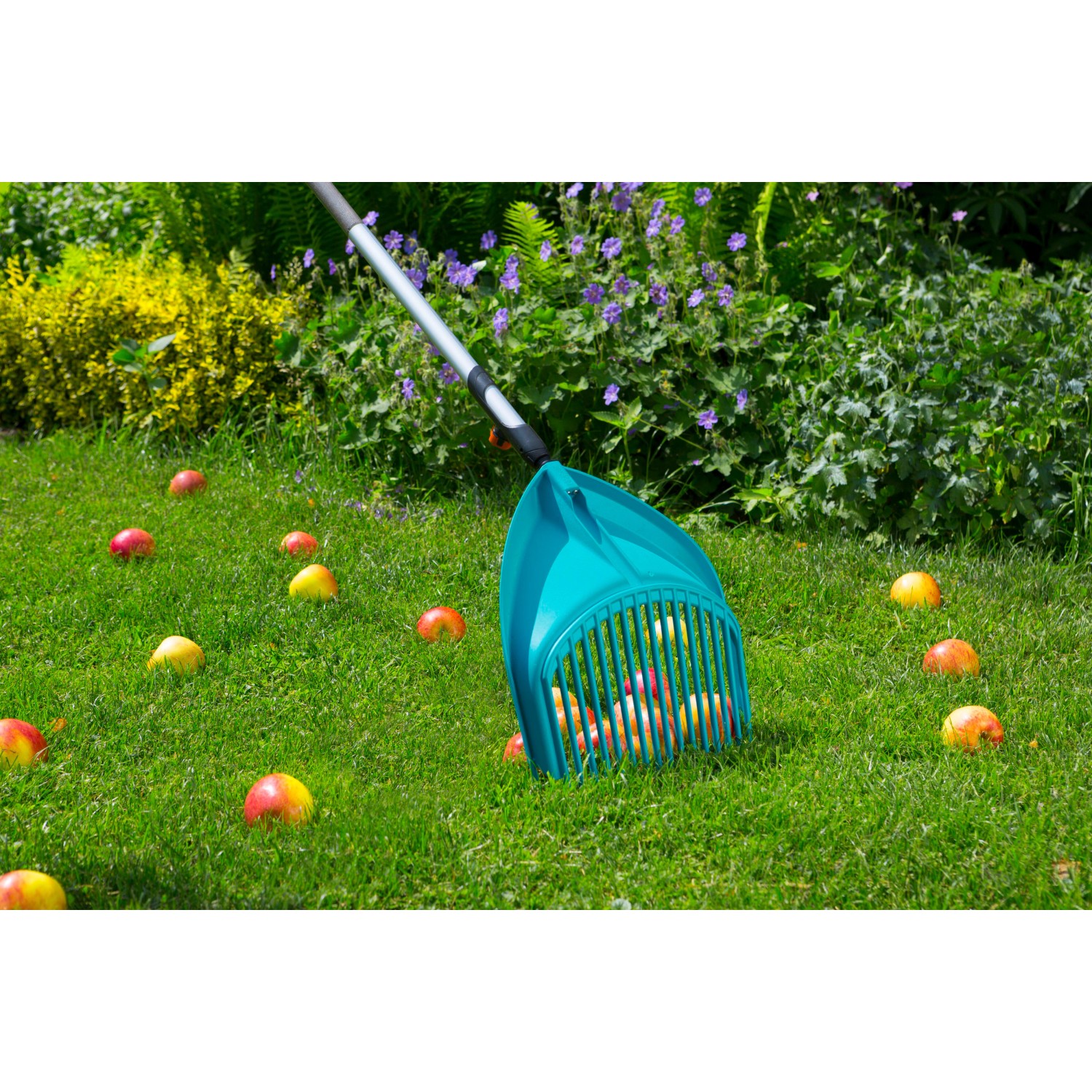 Gardena Combisystem Schaufel-Rechen im Einsatz zum Aufsammeln von Fallobst auf einer grünen Wiese.
