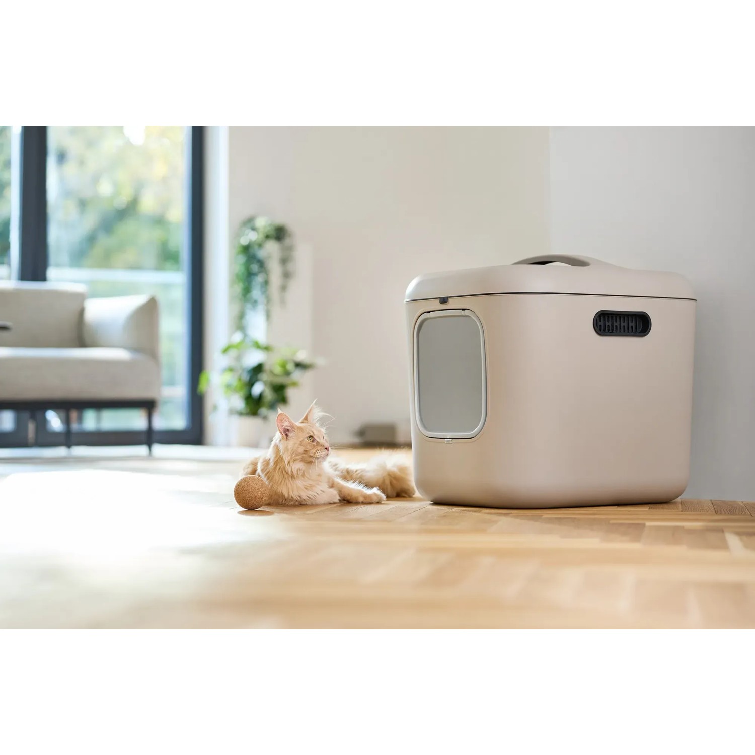 Rotho Katzentoilette Biala XL in Cappuccino mit Katze im Wohnraum.