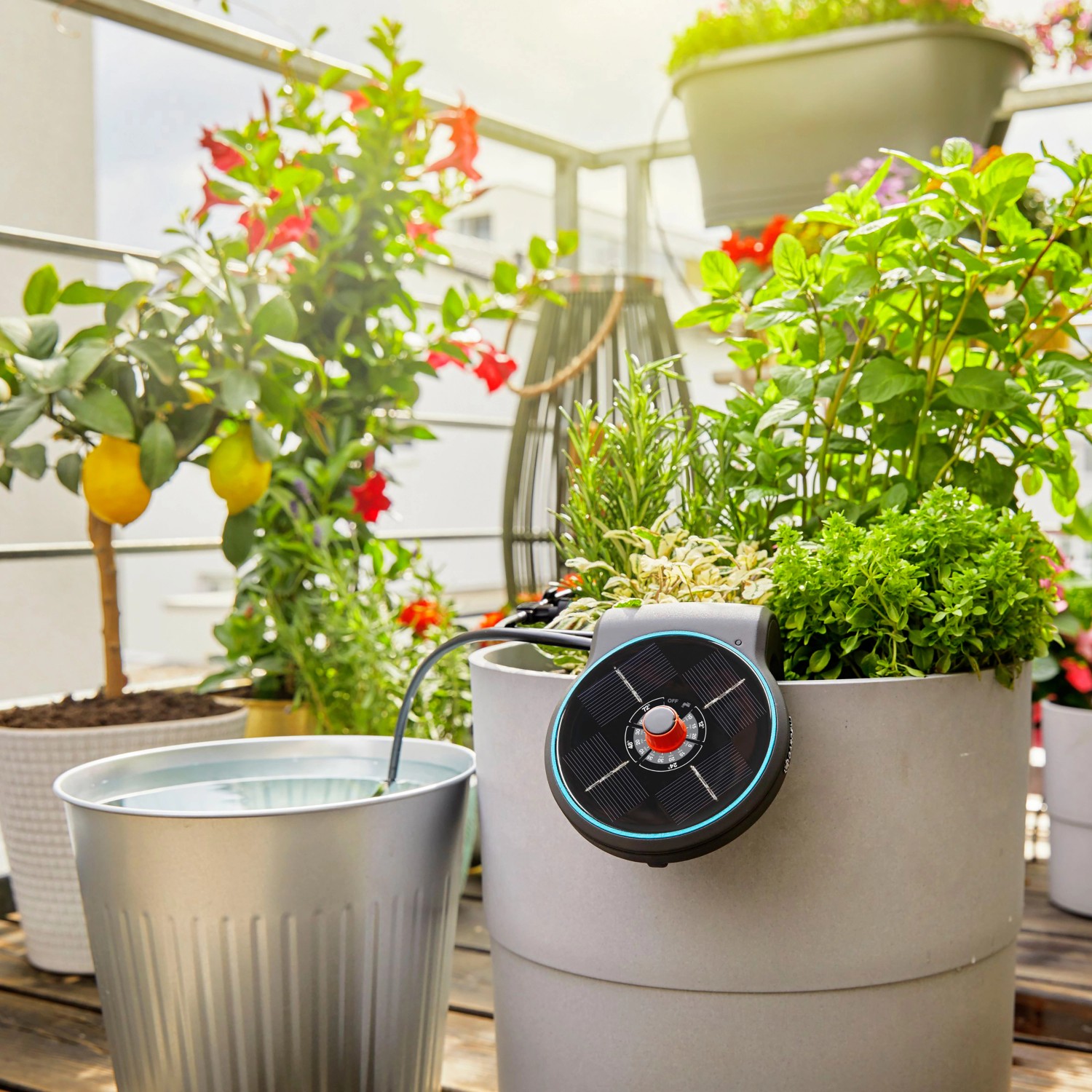 Gardena SolarBewässerung Aqua Bloom Set kaufen bei OBI