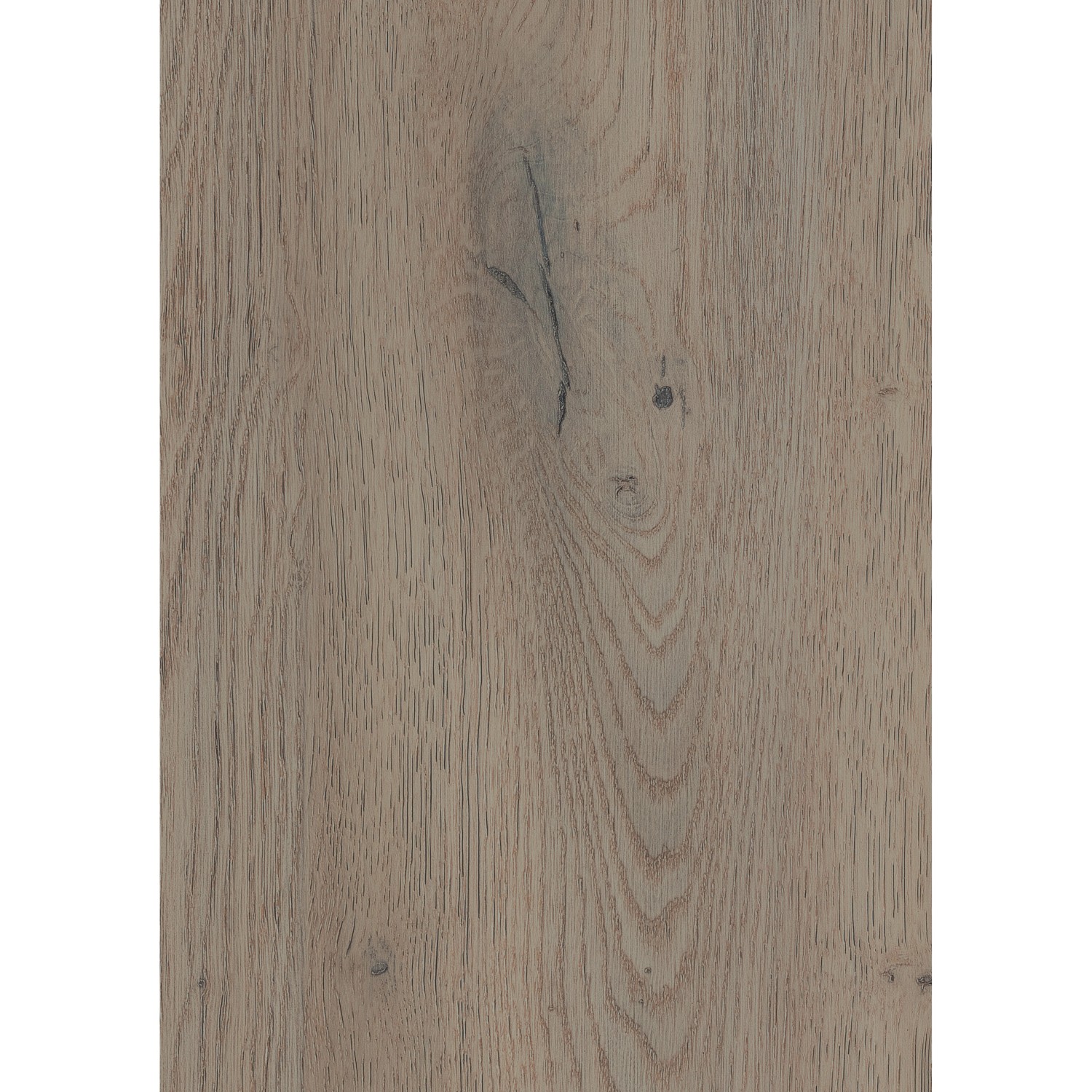 Laminatboden Mont Blanc Oak Breitdiele Eiche günstig online kaufen