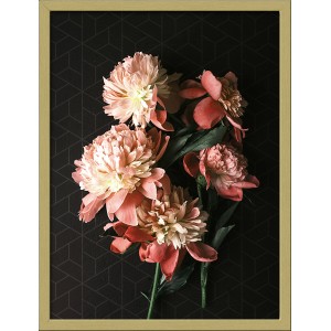 Gerahmtes Bild Anonymus Beautiful Roses II, 42,5x32,5 cm, mit rosa Rosen auf dunklem Grund.