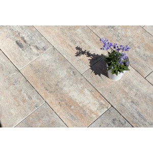 Diephaus Terrassenplatte Daras Muschelkalk, 60x30x5 cm, mit Pflanze im Topf.