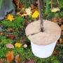 Galaflor Runde Kokosmatte für Kübelpflanzen ⌀ 25 cm Mulchscheibe Winterschutz_4