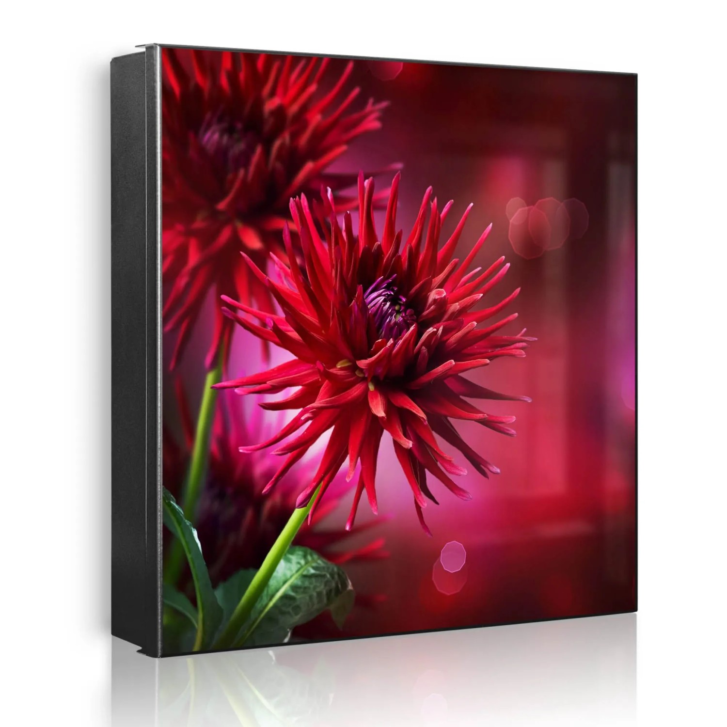 Banjado Großer Schlüsselkasten Metall 30x30cm Schwarz Scharnier Links 50 Haken Beschreibbar Magnetisch Motiv Rote Dahlien