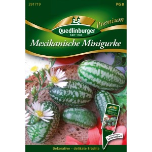 Samenpackung Quedlinburger Mexikanische Minigurke mit kleinen, grün-weiß gestreiften Früchten.