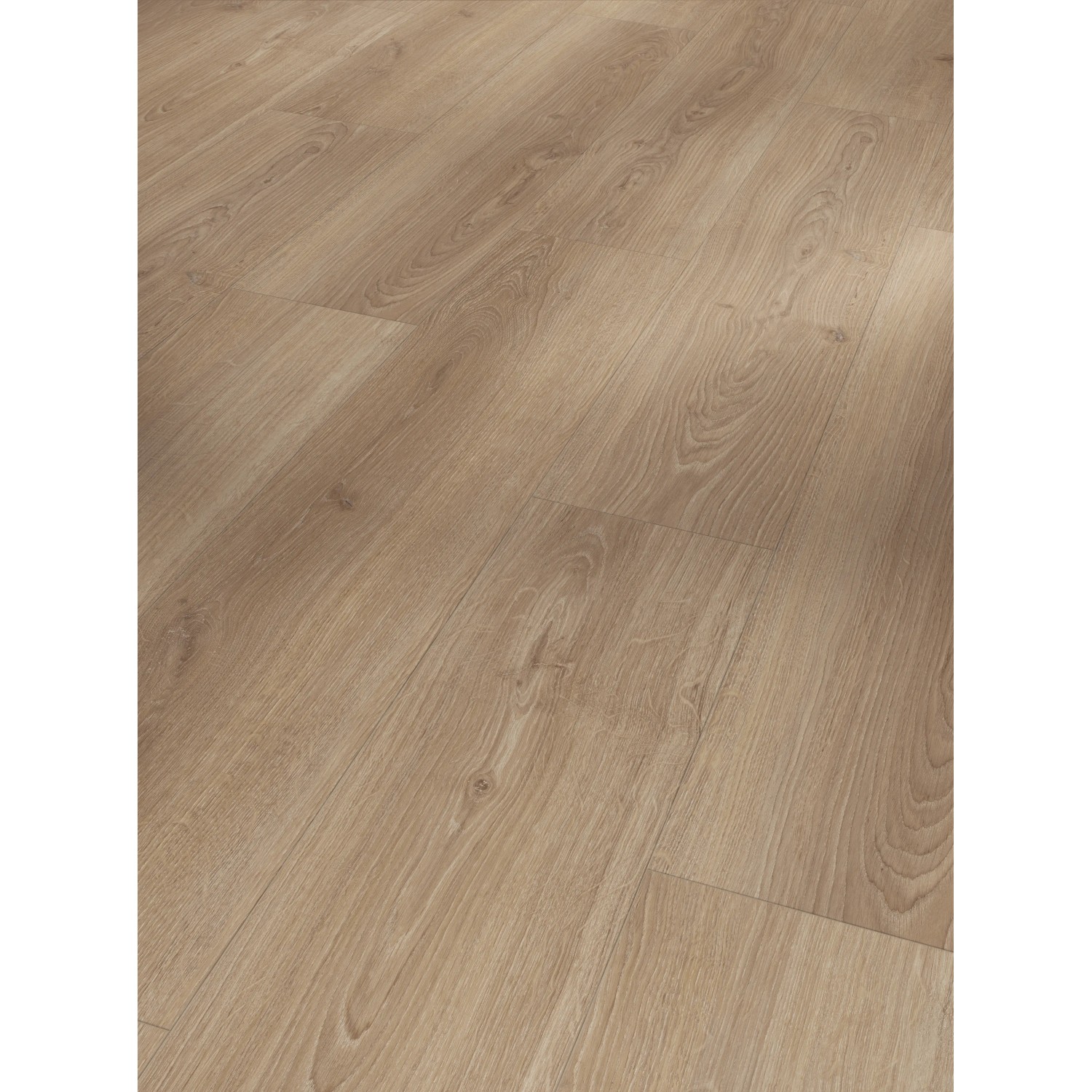 Parador Laminat Basic 600, Eiche Studioline, wasserfest, 8mm Stärke. Detailaufnahme des Laminatbodens.