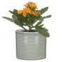 Scheurich Übertopf 828 Classic Mix, Ø 9cm, mit orangefarbener Kalanchoe im hellblauen Keramiktopf.