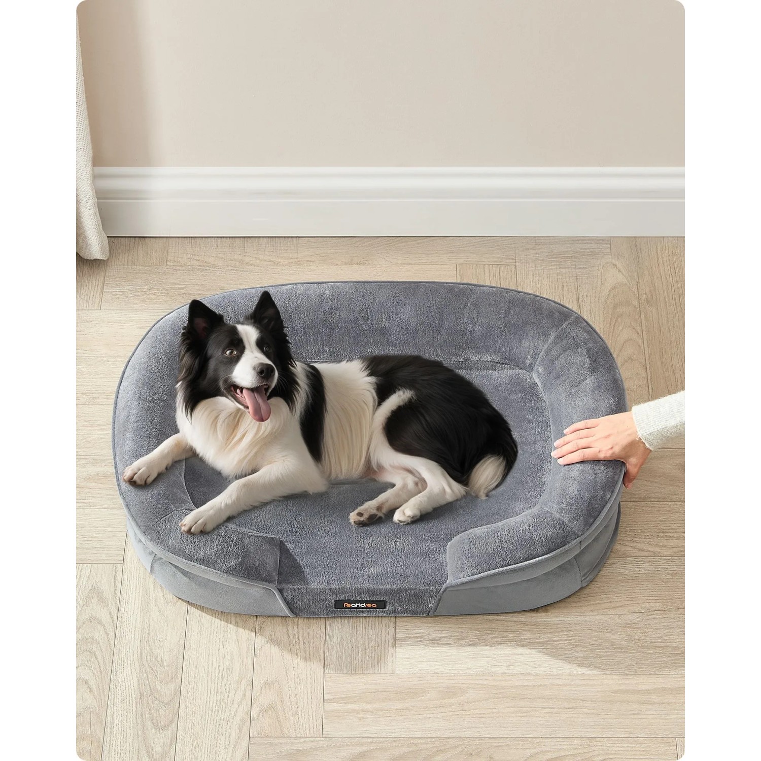 Hellgraues Feandrea Hundebett für große Hunde, mit weichem Bezug und erhöhtem Rand, ein Border Collie liegt entspannt.