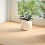 vidaXL Fensterbänke 2 Stk Unbehandelt 100x30x2 cm Massivholz Eiche 4009112_3