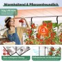 Frau erntet Tomaten aus einem Sekey Foliengewächshaus. Zeigt PE-Hülle, Rollladenfenster & Überlappung für optimales Pflanzenwachstum.
