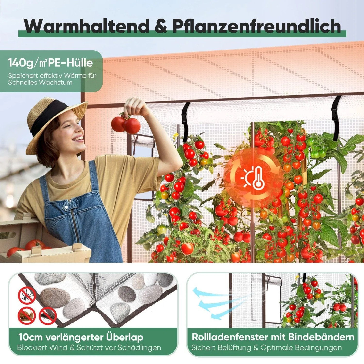 Frau erntet Tomaten aus einem Sekey Foliengewächshaus. Zeigt PE-Hülle, Rollladenfenster & Überlappung für optimales Pflanzenwachstum.