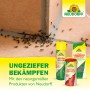 Neudorff Ungeziefer-Produkte: Bettwanzenspray, Wespenschaum, Ameisenstreumittel und Ungeziefer Leimfalle.