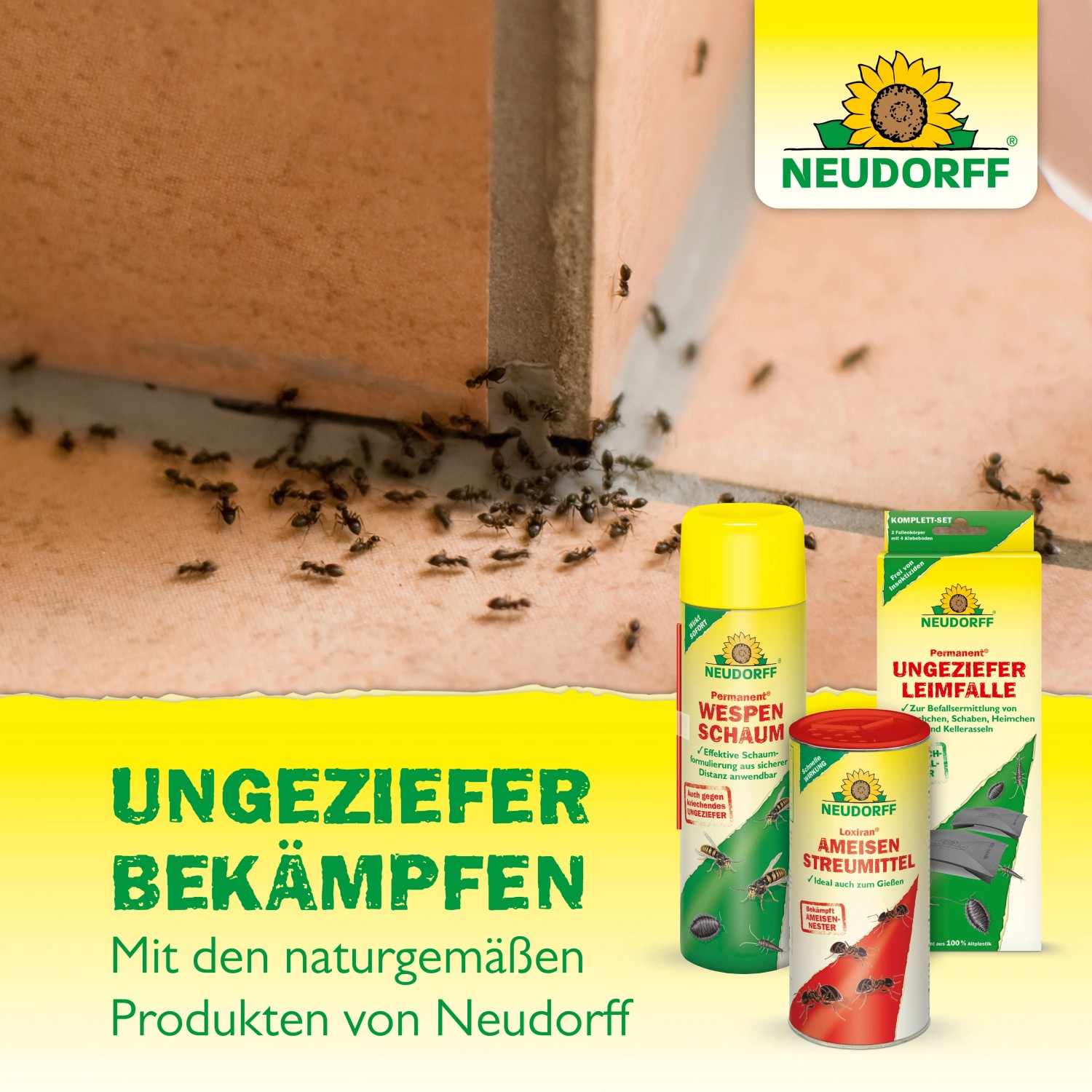 Neudorff Ungeziefer-Produkte: Bettwanzenspray, Wespenschaum, Ameisenstreumittel und Ungeziefer Leimfalle.