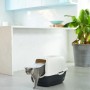 Rotho Katzentoilette Eco Bailey, schwarz/sand, mit Katze beim Verlassen des Katzenklos.