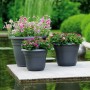 Florus Pflanztöpfe Fiore Alessia in Terrakotta, verschiedene Größen mit Bepflanzung.