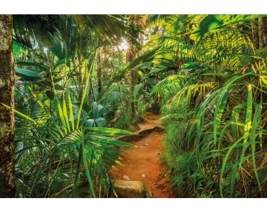 Komar Fototapete Jungle Trail 368 cm x 254 cm FSC | Fototapeten