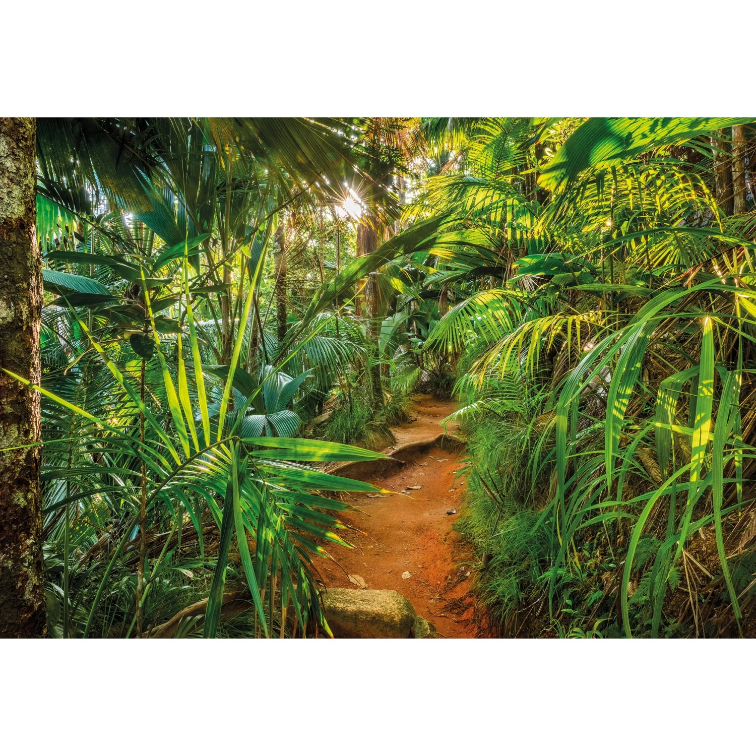 Komar Fototapete Jungle Trail 368 cm x 254 cm