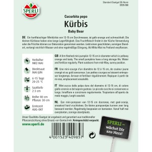 Sperli Kürbis Baby Bear Samenpackung: Mini-Kürbis für Küche & Deko.