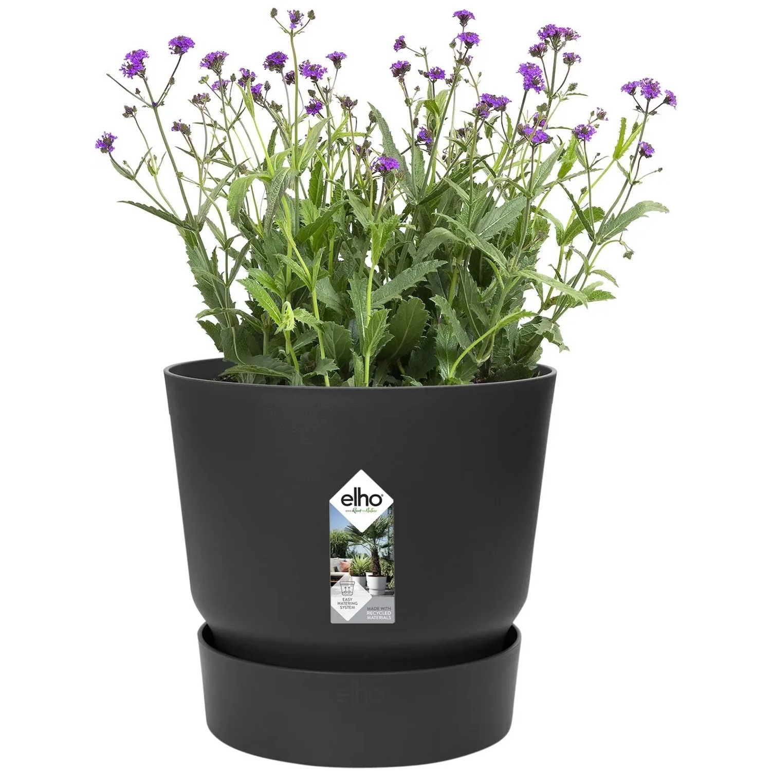 Schwarzer, runder Elho Blumentopf Greenville (18 cm) mit lila blühender Pflanze.