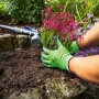 Grüne Gartenhandschuhe mit Latex-Teilbeschichtung (Größe 9) bei der Gartenarbeit.