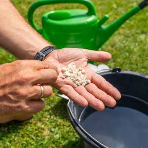 Nematoden gegen Engerlinge in Hand, Gießkanne im Hintergrund. Biologischer Pflanzenschutz für den Garten.