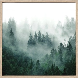Gerahmtes Bild Anonymus Forest Feeling, 52,5x52,5 cm, zeigt Wald im Nebel. Wanddeko für Ihr Zuhause.