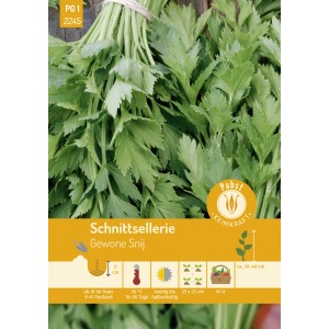 Pabst Schnittsellerie Saatgut: Aromatische, grüne Sellerieblätter, gebündelt für den Anbau im Garten oder Balkon.
