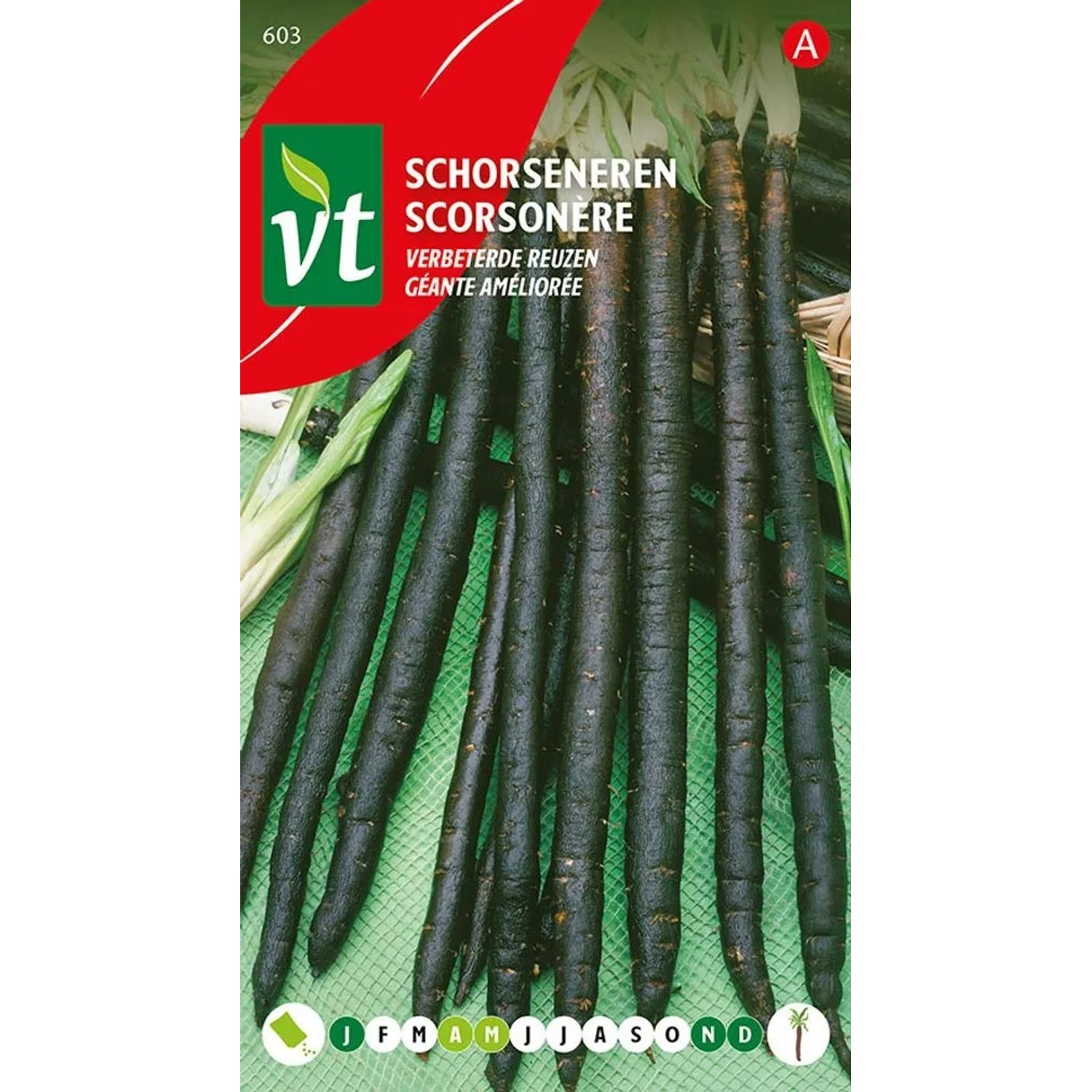 Schwarzwurzel 'Improved Giants' Saatgut ca. 5 g Lange Wurzeln