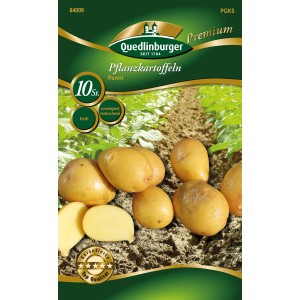 Quedlinburger Pflanzkartoffeln 'Penni', gelbschalig, vorwiegend festkochend, Kleinpackung.