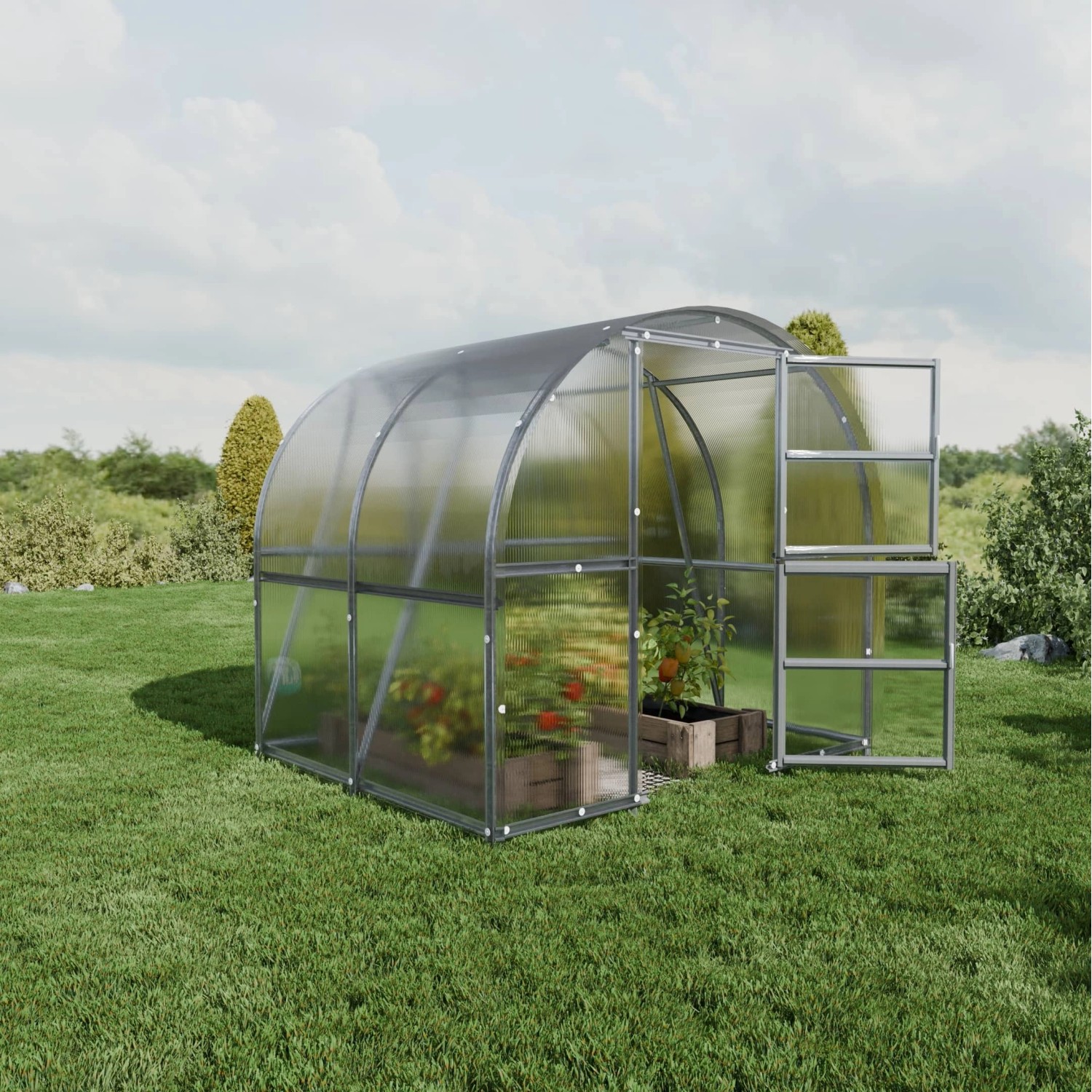 Klasika Greenhouses Baltic LT KLASIKA Gewächshaus 6m², 3m x 2m mit 6 mm Pol günstig online kaufen