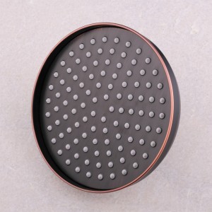 Detailaufnahme: Runde, schwarze Regendusche mit Antikalkdüsen des PaulGurkes Duschsystems Retro.