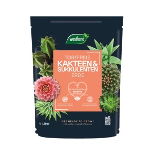 Westland Kakteen- & Sukkulentenerde, torffrei, 4L Sack mit Kakteen- und Sukkulenten-Abbildungen.