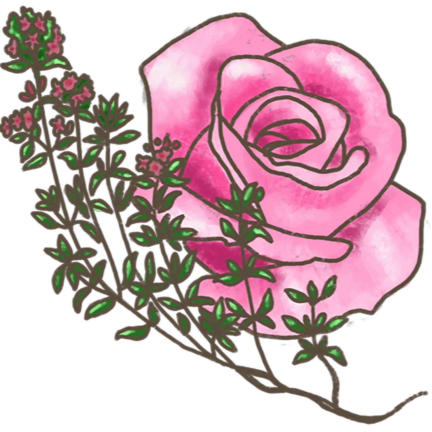 Illustration: Rosa Rose und Rosen-Thymian (Thymus ssp.) mit grünen Blättern.