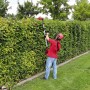 Einhell Akku-Teleskop-Heckenschere GE-HH 18/45 Li T Solo beim Heckenschnitt.
