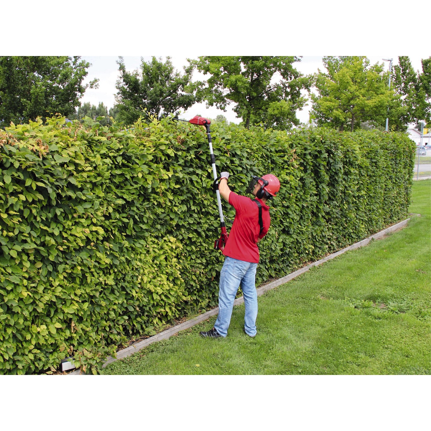 Einhell Akku-Teleskop-Heckenschere GE-HH 18/45 Li T Solo beim Heckenschnitt.