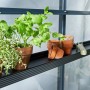 Schwarzes Juliana Aluregal mit Pflanzen im Gewächshaus, 3 Sektionen für mehr Stauraum.