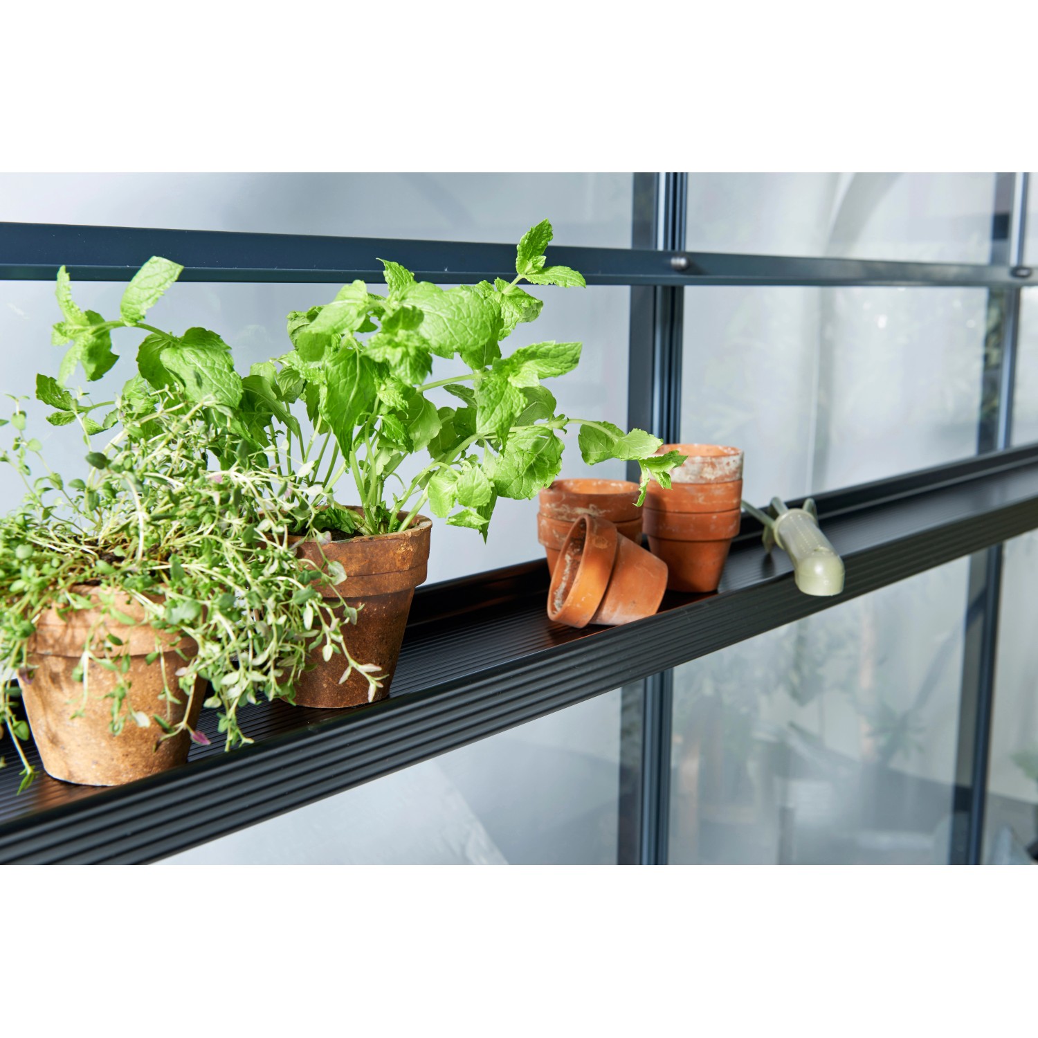Schwarzes Juliana Aluregal mit Pflanzen im Gewächshaus, 3 Sektionen für mehr Stauraum.