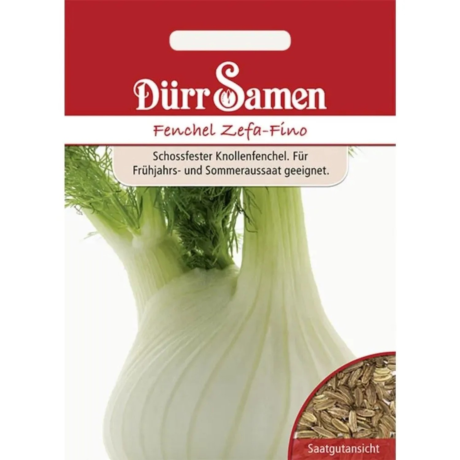 Dürr Samen Knollenfenchel Zefa-Fino Saatgut