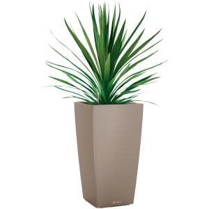 Lechuza Cubico Color Pflanzsäule, 75 cm hoch, sandbraun, mit grüner Pflanze.