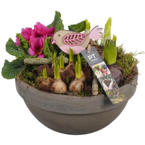 Frühlingsarrangement im Terrakotta-Topf mit Narzissen, Primeln und Deko-Vogel. Ø 23cm.