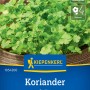 Kiepenkerl Koriander Jantar: Frischer Koriander im Topf, ideal für Küche und Garten.