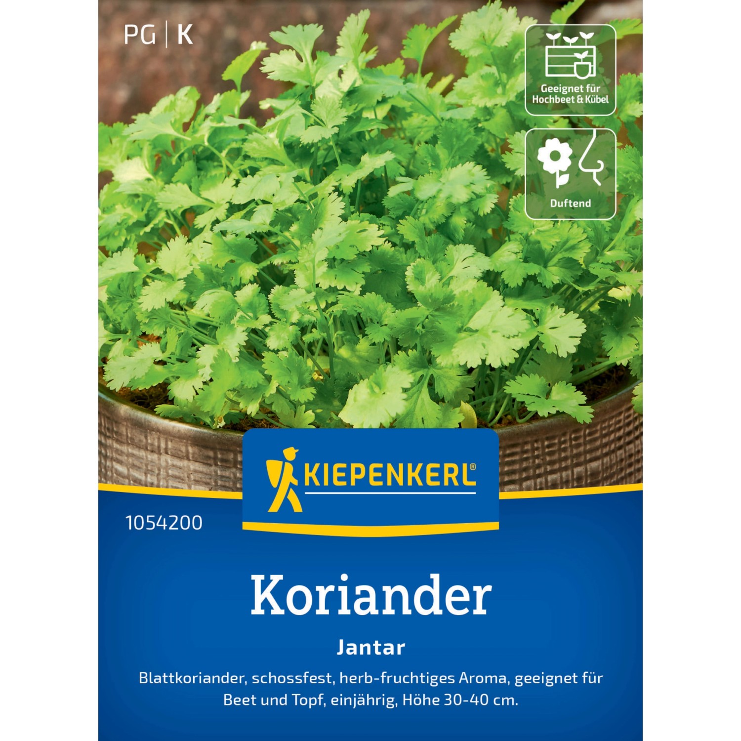 Kiepenkerl Profi-Line Koriander Jantar günstig online kaufen