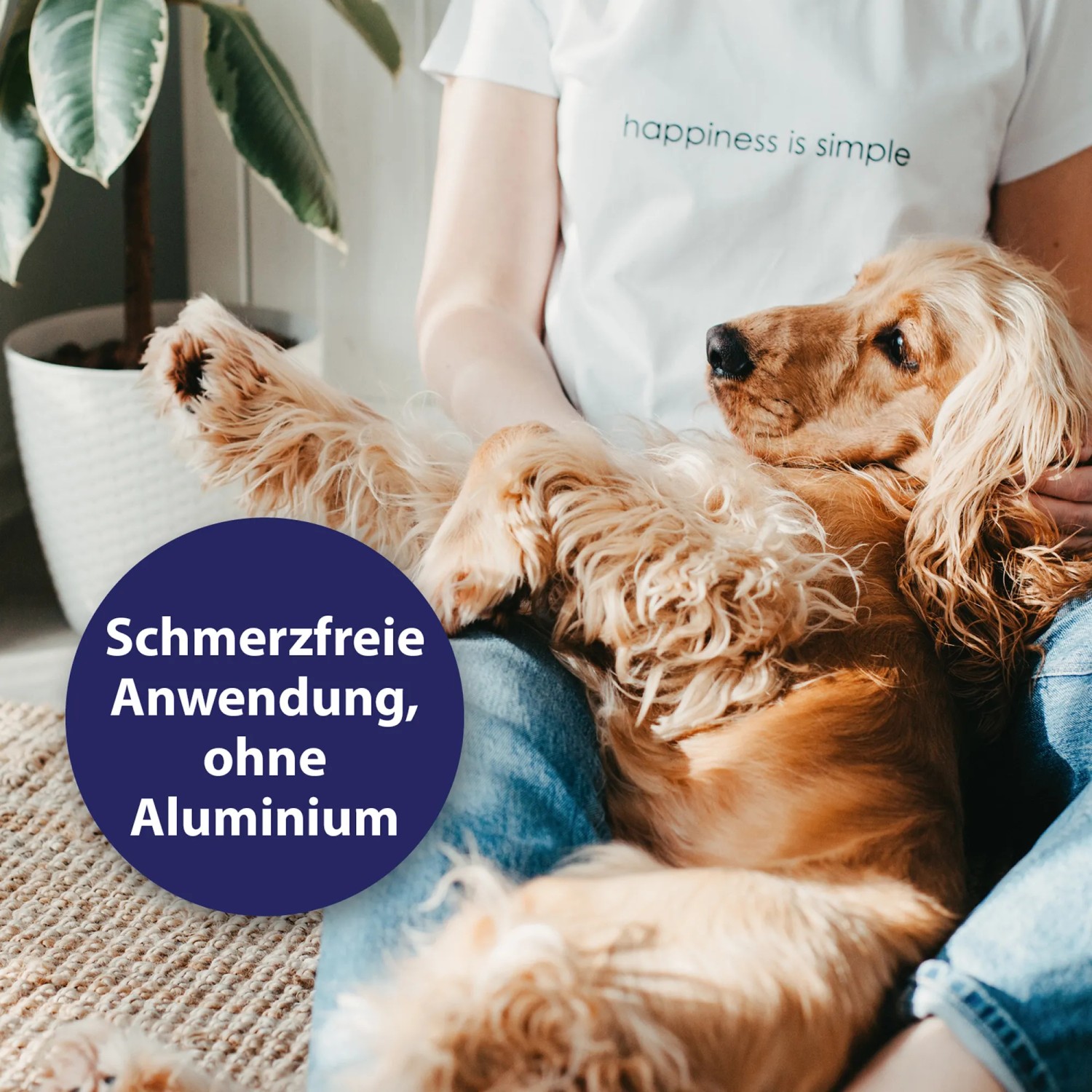 Hund liegt entspannt im Arm, Canosept Mikro Silberspray für Fellpflege im Hintergrund.