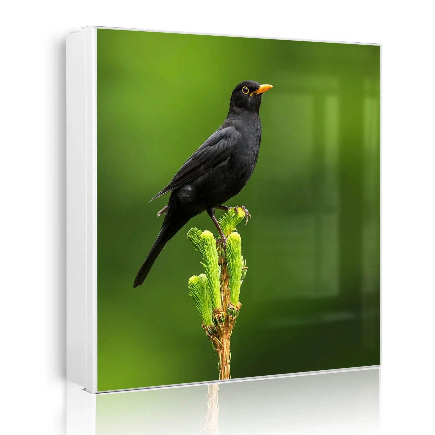 Banjado Großer Schlüsselkasten Metall 30x30cm Weiß Scharnier Links 50 Haken Beschreibbar Magnetisch Motiv Vogel Auf Tannenzweig