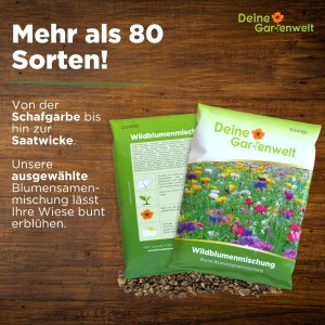 Deine Gartenwelt Wildblumenmischung, 100g Samen für eine bunte Blumenwiese.
